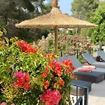 Palmera Villa Jávea