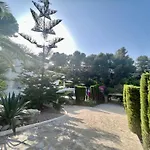 Palmera Villa Jávea