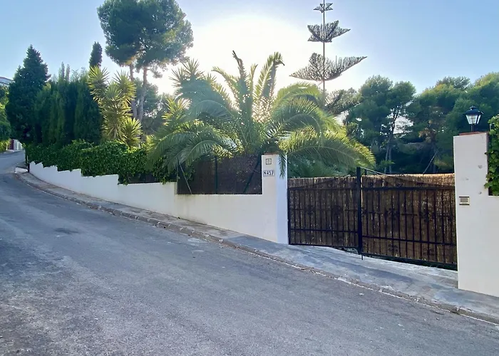 Palmera