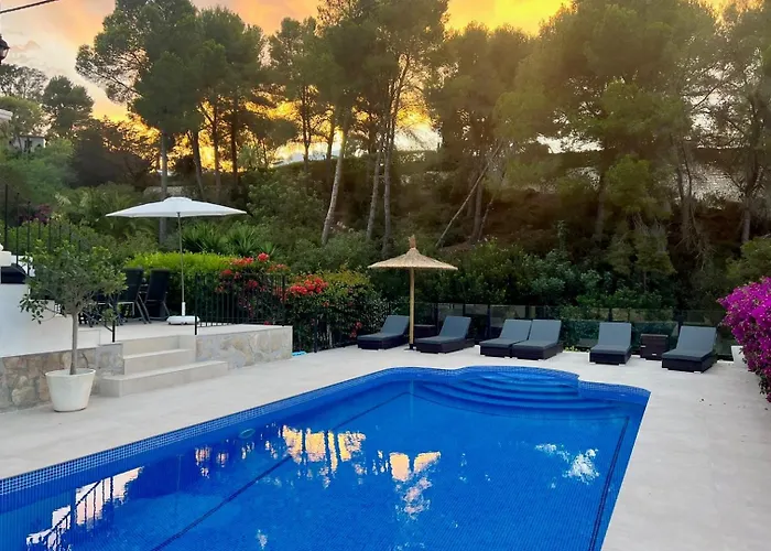 Palmera Jávea