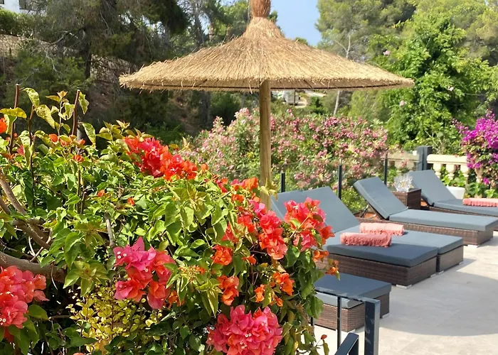 Palmera Villa Jávea