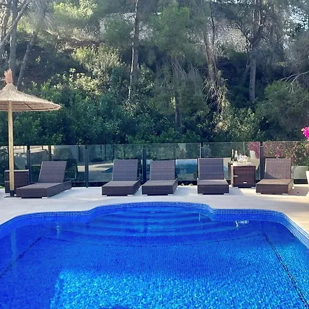 Palmera